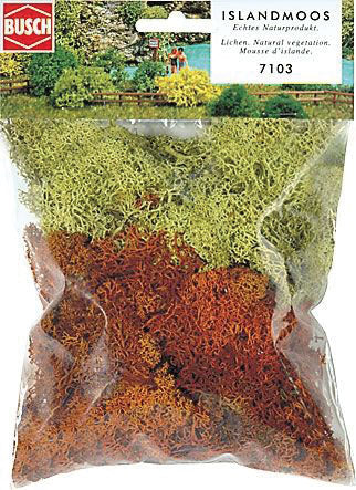 Lichen -- Yellow & Brown 1-1/4oz  35g