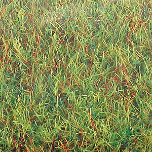 Large Grass Mat - 39-3/8 x 31-1/2"  100 x 80cm -- Spring