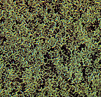 Foam Scatter Material-Fine -- Medium Green