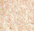 Foam Scatter Material-Fine -- White