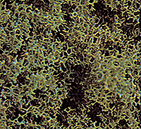 Foam Scatter Material - Coarse -- Medium Green