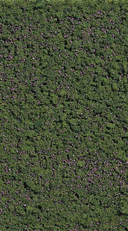 Foliage Pad -- Forest Blueberries 5-7/8 x 3-1/8". 15 x 8cm-1