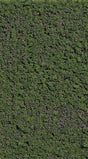 Foliage Pad -- Forest Blueberries 5-7/8 x 3-1/8". 15 x 8cm-1