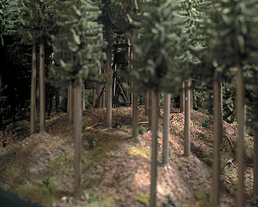 Ground Cover - 300ml Package -- Coniferous (Pine) Forest