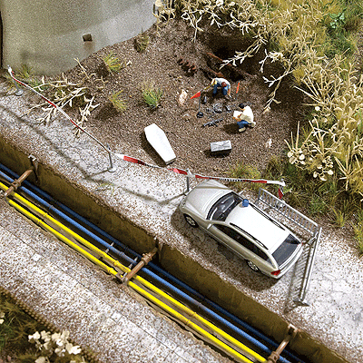 Peat Bog Crime Scene