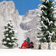 Snowmobile with Figure - Assembled -- Red-1