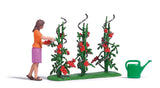 Tomato Harvest - Action Set -- Figure, 3 Tomato Plants, Watering Can-2
