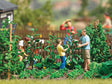 Cucumber Harvest - Action Set -- 2 Figures, 3 Cucumber Plants, Watering Can-1