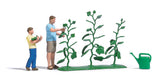 Cucumber Harvest - Action Set -- 2 Figures, 3 Cucumber Plants, Watering Can-2
