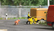German Post Letter Carrier - Action Set -- Bicycle, Rider Figure, Chasing Dog-1