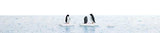 Penguins on Ice Flows Complete Miniature Scene -- 3 Penguins, 3 Icebergs, & 8-1/4 x 5-13/16" 21 x 14.8cm Water Sheet-1