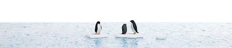 Penguins on Ice Flows Complete Miniature Scene -- 3 Penguins, 3 Icebergs, & 8-1/4 x 5-13/16" 21 x 14.8cm Water Sheet-1