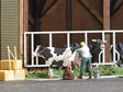 Inseminator - Action Set -- Cow with Vet Figure, Medical Bag, Stable Tools, Hay Bales-1
