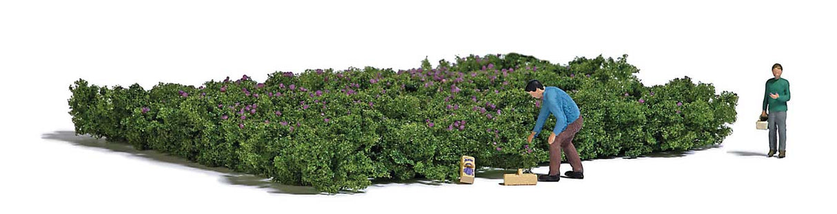 Picking Forest Blueberries - Action Set -- 2 Figures, 2-3/4 x 2-1/4"  8 x 7cm Blueberry Patch, Collection Baskets-1