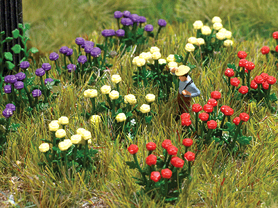 Dahlias -- Kit - pkg(120)
