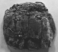 Rock Mold -- 4 x 4-1/4"