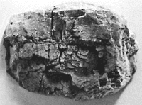 Rock Mold -- 5 x 3-1/2"