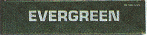 40' Sea Container pkg(2) -- Evergreen (green)