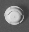 Bells -- Western