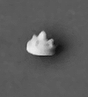 Radio Antennas -- Whip Type, Plastic pkg(3)