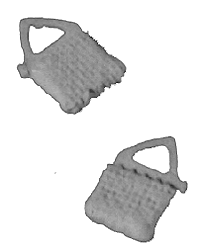 Water Bag