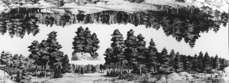 Background Rail Scene -- Forest