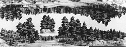 Rail Scene -- Forest