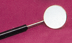 Inspection Mirror -- Plain