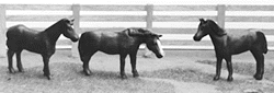 Horses -- Painted
