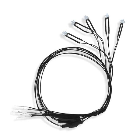 Universal Input -- 18V 5mm LEDs Fire Kit-2