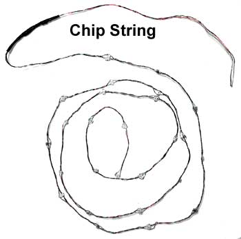 Multicolor Flashing LED Chip Light String -- 26 Lights 12-19V DC or AC-2