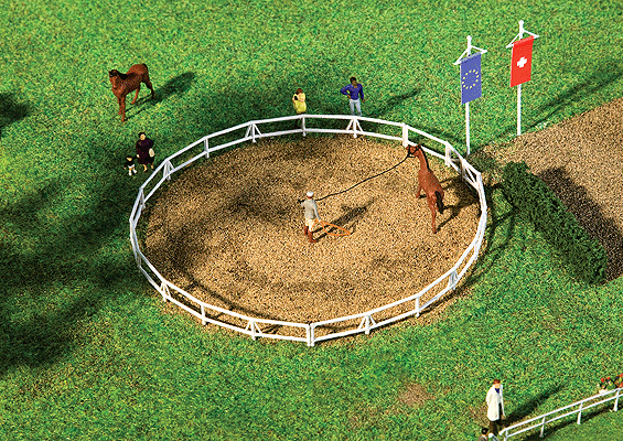 Horse Training Corral