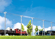 Telegraph Poles