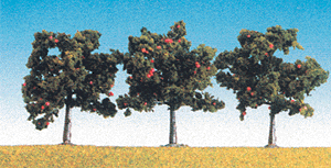 Fruit Trees -- Apple 3-1/4 - 4"