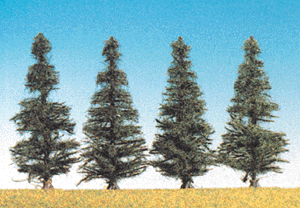 Pines -- Medium Fir 3-3/4"