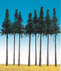 Pines -- Tall Spruce 6-1/2"