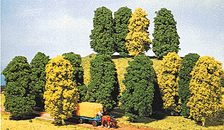 Hedges -- Medium 19"