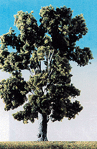 Trees Deciduous -- Beech About 8" 20cm Tall