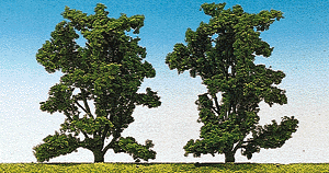 Mountain ash 5.5"      2/