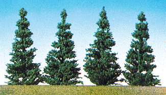 Pines -- Nordic 3"