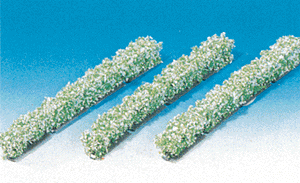 Hedges -- Flowering, White 5-1/2 x 1/2"