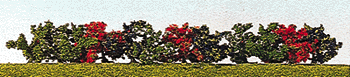 Bush Assortment