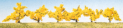 Forsythias
