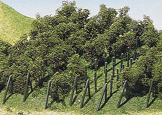 Vineyard w/Poles