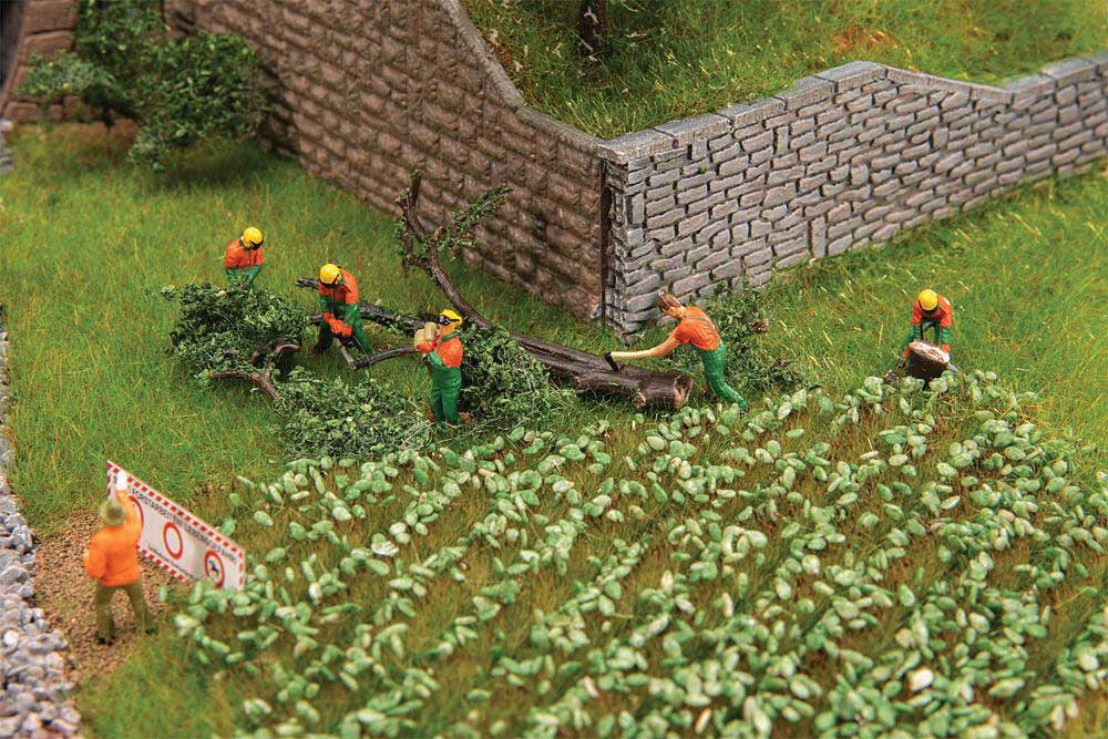 Forest Workers with Modern Equipment -- pkg(6)-1