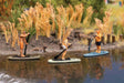 Stand-Up Paddlers -- 3 People on Paddle Boards-1