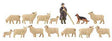 Shepherd with Flock -- Shepherd, Dog, 12 Sheep