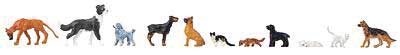 Dogs and Cats -- 7 Dogs, 4 Cats