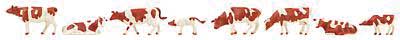 Cows -- Brown and White pkg(8)