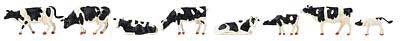 Cows -- Black and White pkg(8)